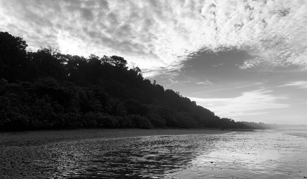 Black and white beach